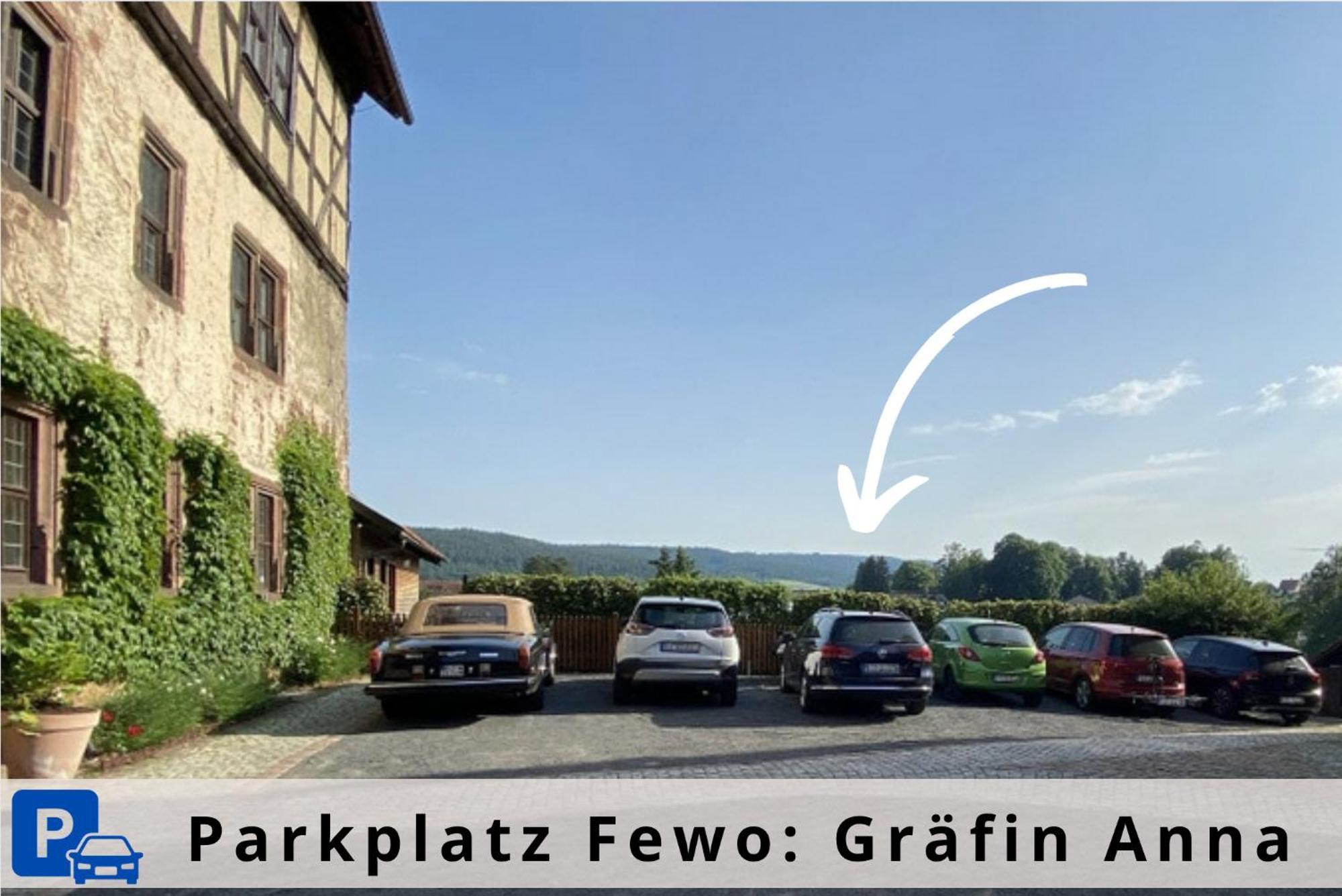 Graefin Anna - Design-Apartment In Der Historischen Hinterburg Schlitz - Nahe Fulda Und Bad Hersfeld Exterior foto